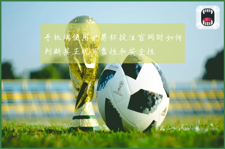 手机端使用世界杯投注官网时如何判断其正规可靠性和安全性