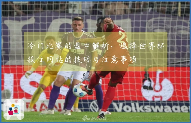 冷门比赛的盘口解析，选择世界杯投注网站的技巧与注意事项