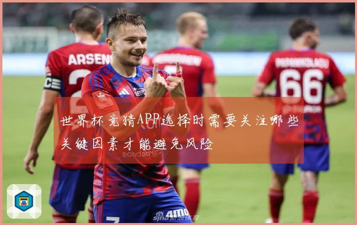 世界杯竞猜APP选择时需要关注哪些关键因素才能避免风险