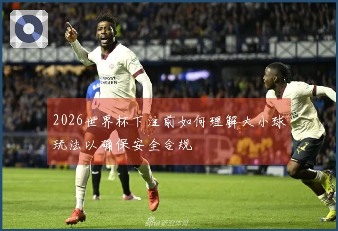 2026世界杯下注前如何理解大小球玩法以确保安全合规