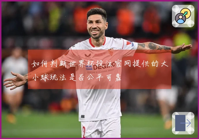 如何判断世界杯投注官网提供的大小球玩法是否公平可靠