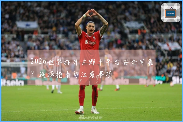 2026世界杯开户哪个平台安全可靠？选择指南与注意事项
