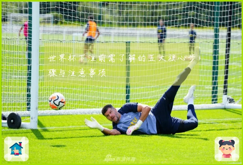 世界杯下注前需了解的五大核心步骤与注意事项