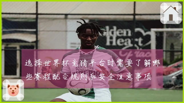 选择世界杯竞猜平台时需要了解哪些赛程配合规则和安全注意事项