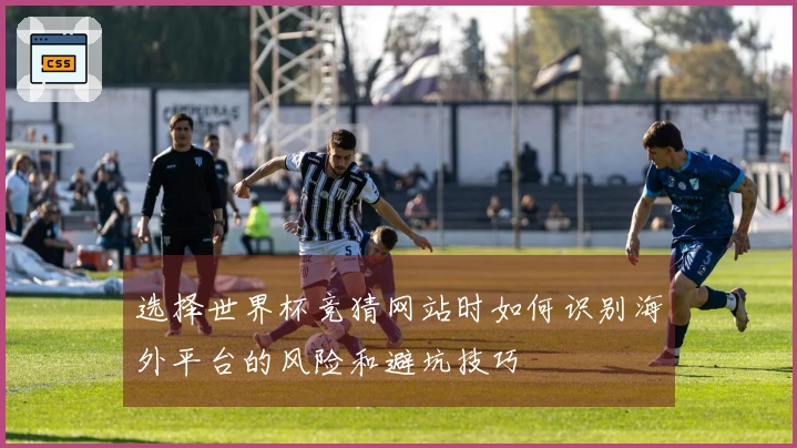 选择世界杯竞猜网站时如何识别海外平台的风险和避坑技巧
