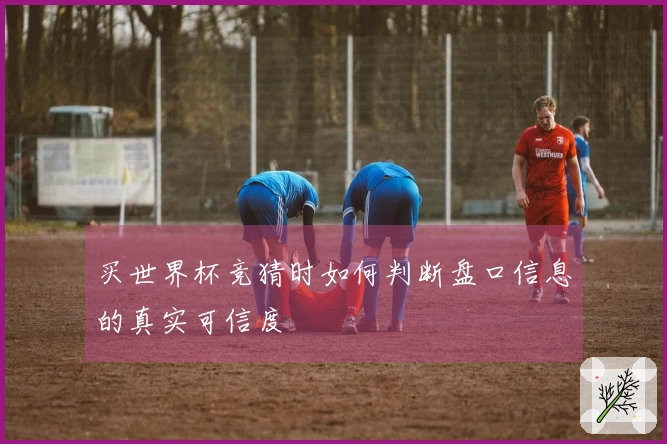 买世界杯竞猜时如何判断盘口信息的真实可信度