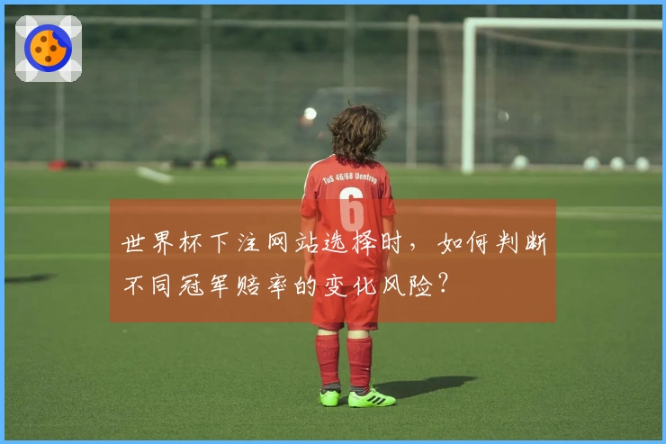 世界杯下注网站选择时，如何判断不同冠军赔率的变化风险？