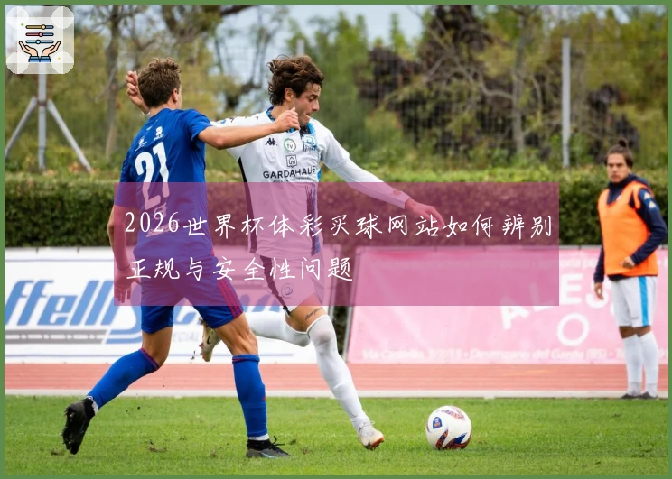 2026世界杯体彩买球网站如何辨别正规与安全性问题