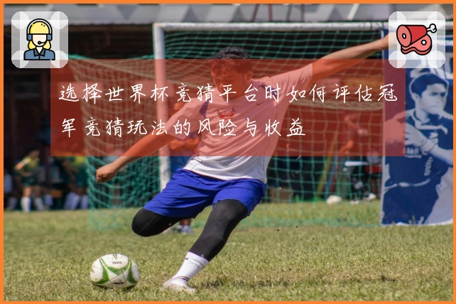 选择世界杯竞猜平台时如何评估冠军竞猜玩法的风险与收益