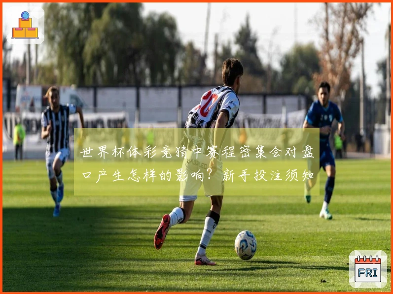 世界杯体彩竞猜中赛程密集会对盘口产生怎样的影响？新手投注须知的要点有哪些