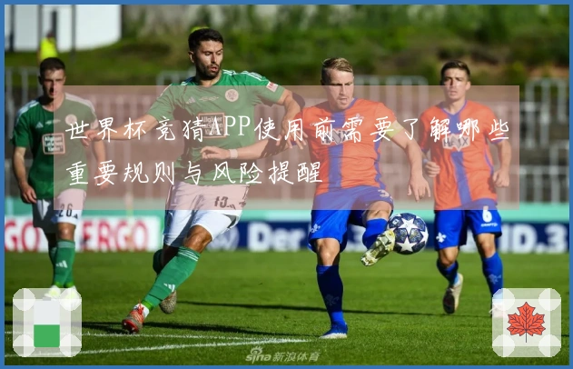 世界杯竞猜APP使用前需要了解哪些重要规则与风险提醒
