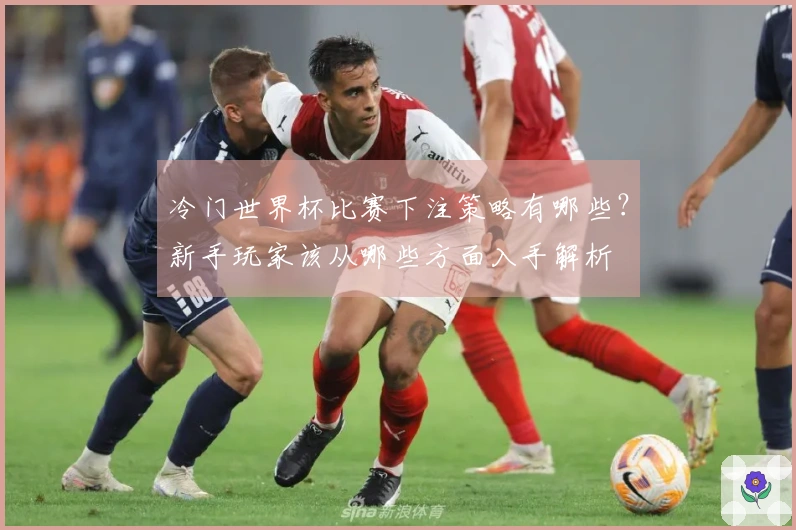 冷门世界杯比赛下注策略有哪些？新手玩家该从哪些方面入手解析