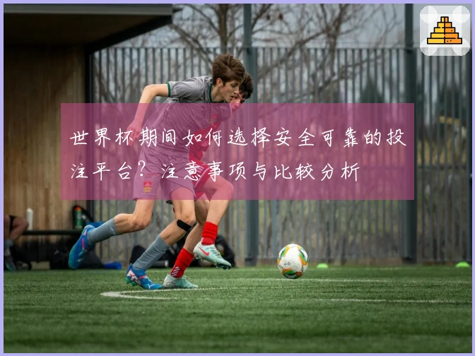 世界杯期间如何选择安全可靠的投注平台？注意事项与比较分析