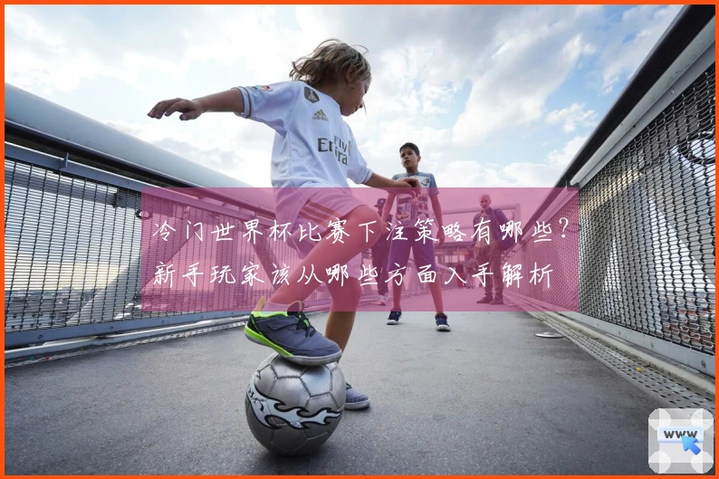 冷门世界杯比赛下注策略有哪些？新手玩家该从哪些方面入手解析