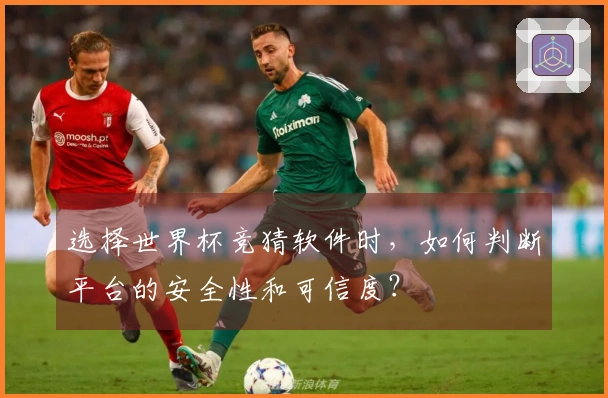 选择世界杯竞猜软件时，如何判断平台的安全性和可信度？