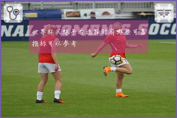 世界杯买球平台选择时有哪些可靠指标可以参考