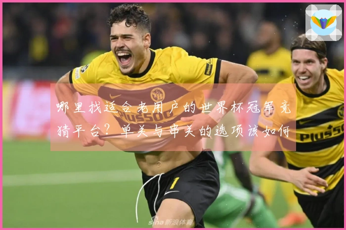 哪里找适合老用户的世界杯冠军竞猜平台？单关与串关的选项该如何权衡