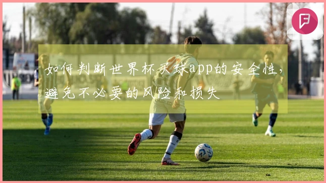 如何判断世界杯买球app的安全性，避免不必要的风险和损失