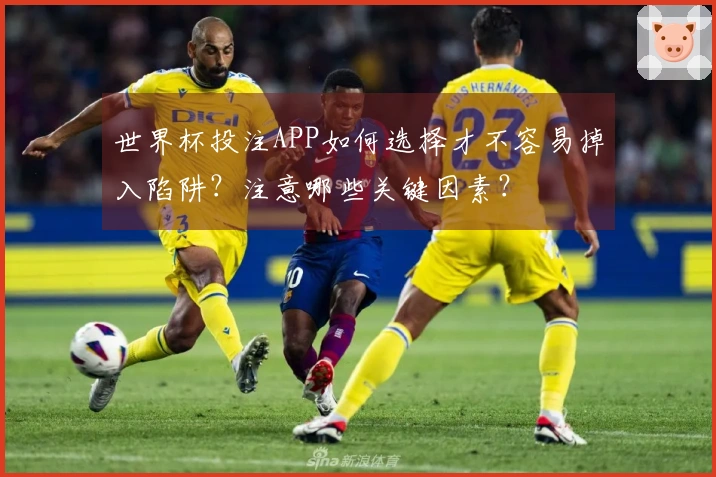 世界杯投注APP如何选择才不容易掉入陷阱？注意哪些关键因素？
