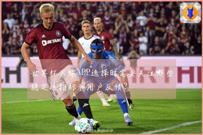 世界杯买球APP选择时需要关注哪些稳定性指标和用户反馈？