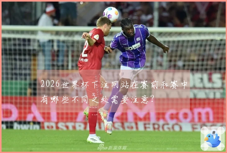 2026世界杯下注网站在赛前和赛中有哪些不同之处需要注意？