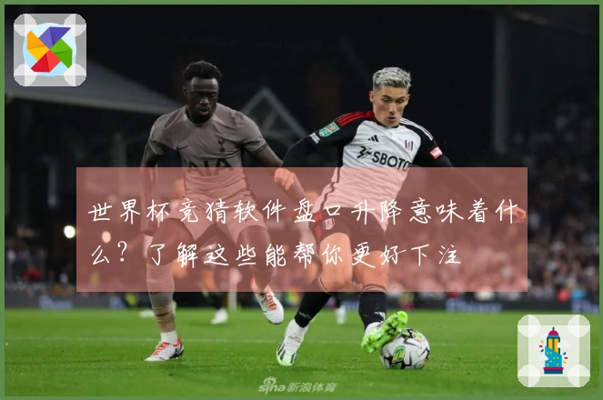 世界杯竞猜软件盘口升降意味着什么？了解这些能帮你更好下注