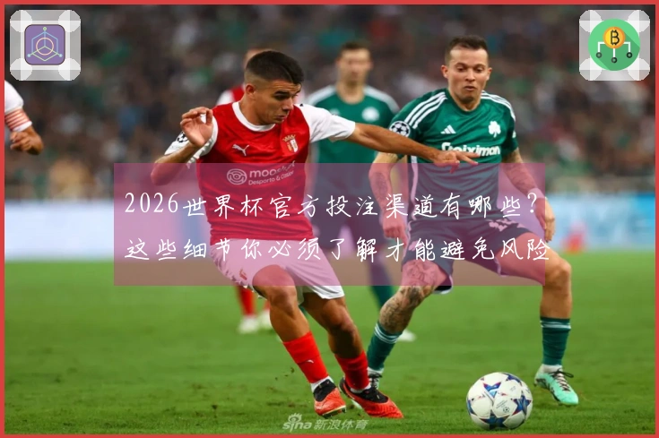 2026世界杯官方投注渠道有哪些？这些细节你必须了解才能避免风险