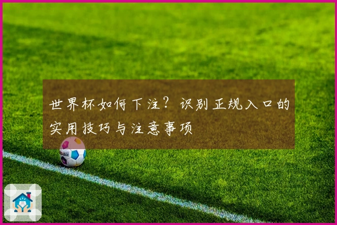 世界杯如何下注？识别正规入口的实用技巧与注意事项