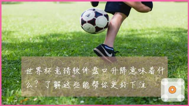 世界杯竞猜软件盘口升降意味着什么？了解这些能帮你更好下注