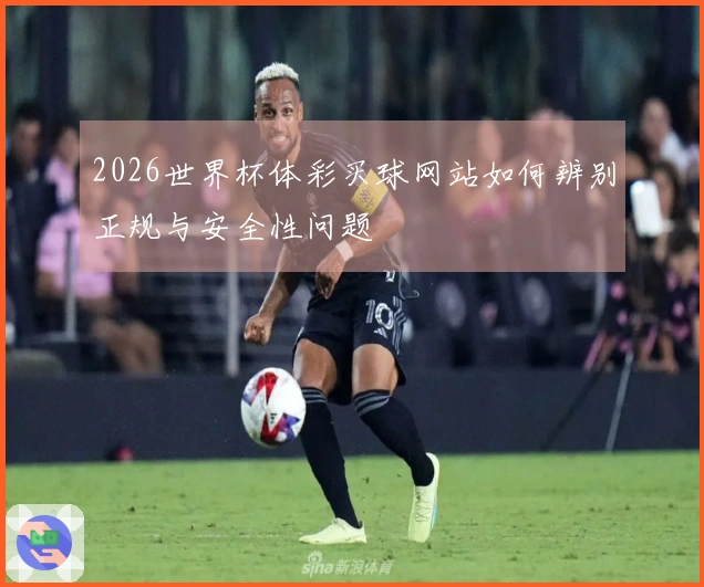 2026世界杯体彩买球网站如何辨别正规与安全性问题