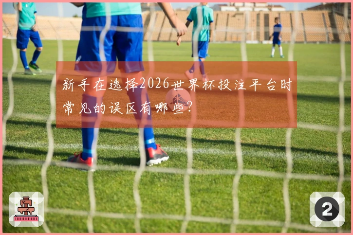 新手在选择2026世界杯投注平台时常见的误区有哪些？