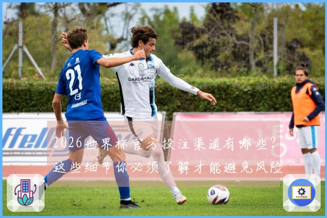 2026世界杯官方投注渠道有哪些？这些细节你必须了解才能避免风险