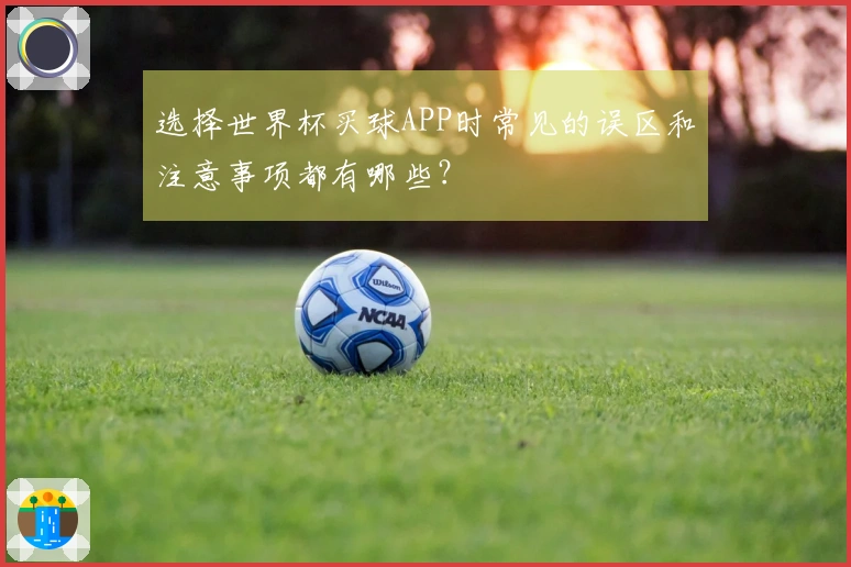 选择世界杯买球APP时常见的误区和注意事项都有哪些？