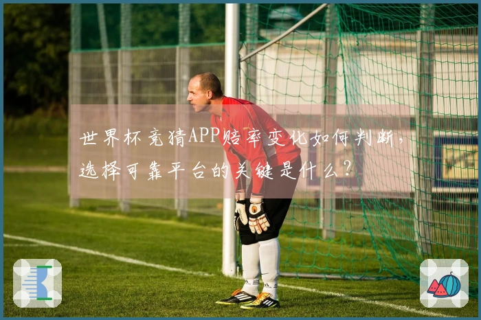 世界杯竞猜APP赔率变化如何判断，选择可靠平台的关键是什么？
